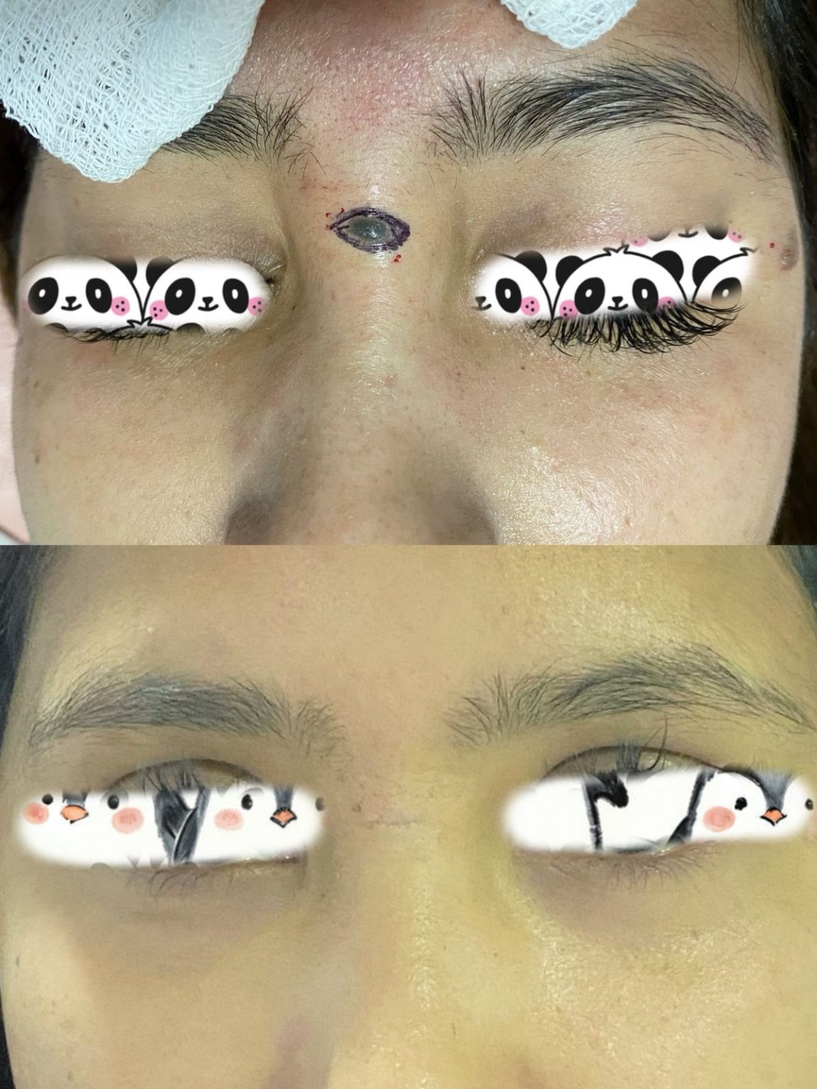 WhatsApp Image 2026-01-26 at 2.18.48 PM (1)